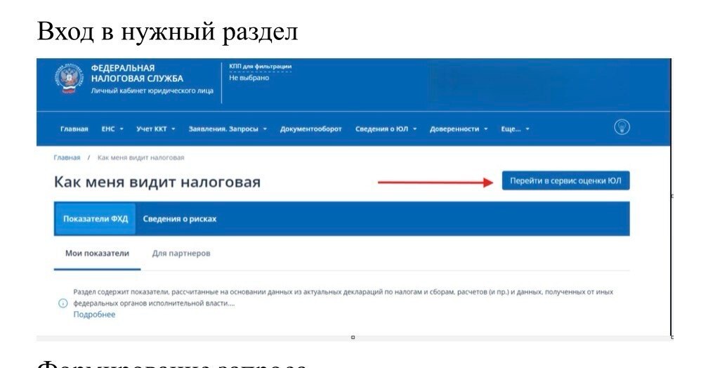 Раздел «Как меня видит налоговая» в личном кабинете юрлица